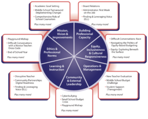 SchoolSims NELP Standards Alignment